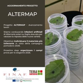 ALTERMAP Nov 2025 270