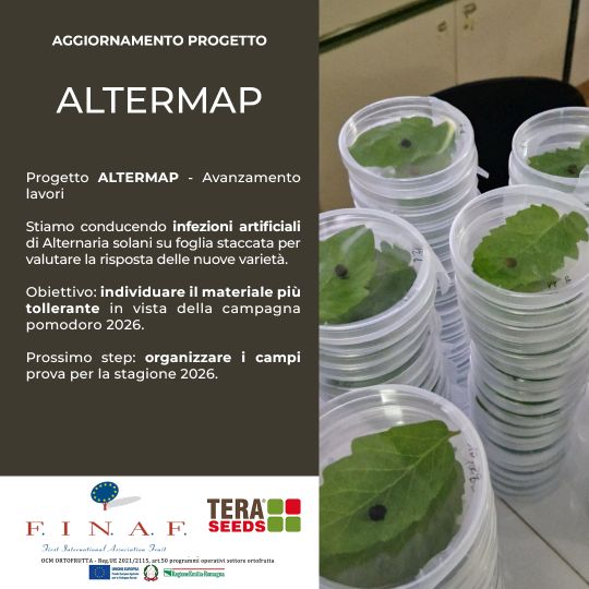 ALTERMAP Nov 2025 540