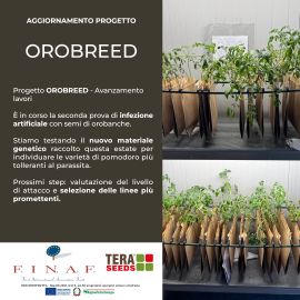 OROBREED Nov 2025_270