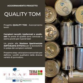 QUALITY TOM Nov 2025 270