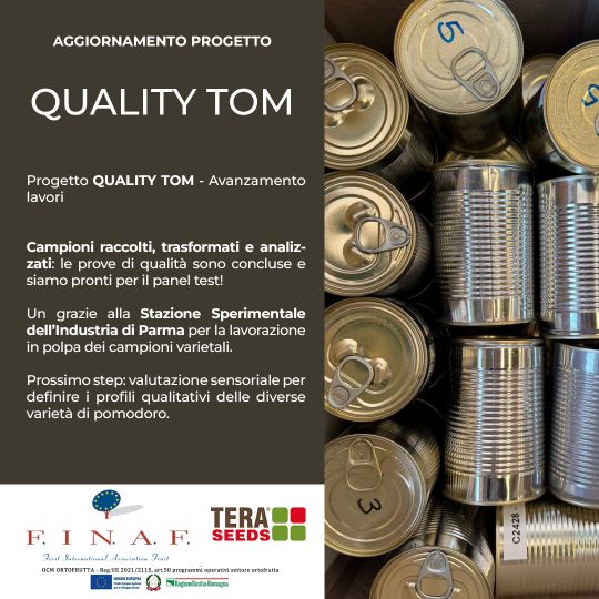 QUALITY TOM Nov 2025 540