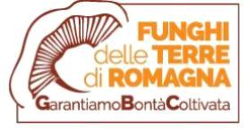 L-funghi terre romagna-banner